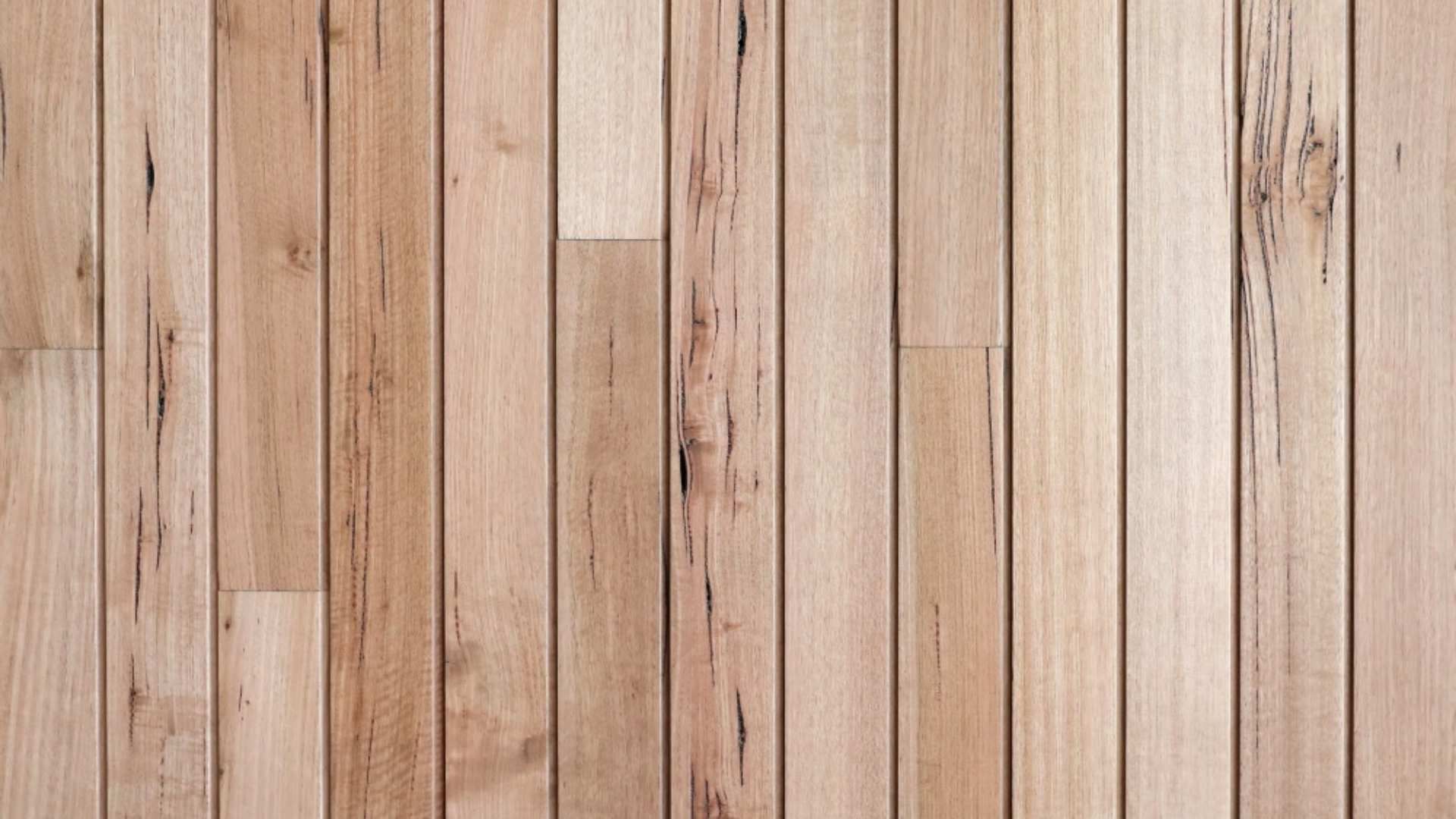 What is the difference between H2 and H3 Treated Pine | Bowens