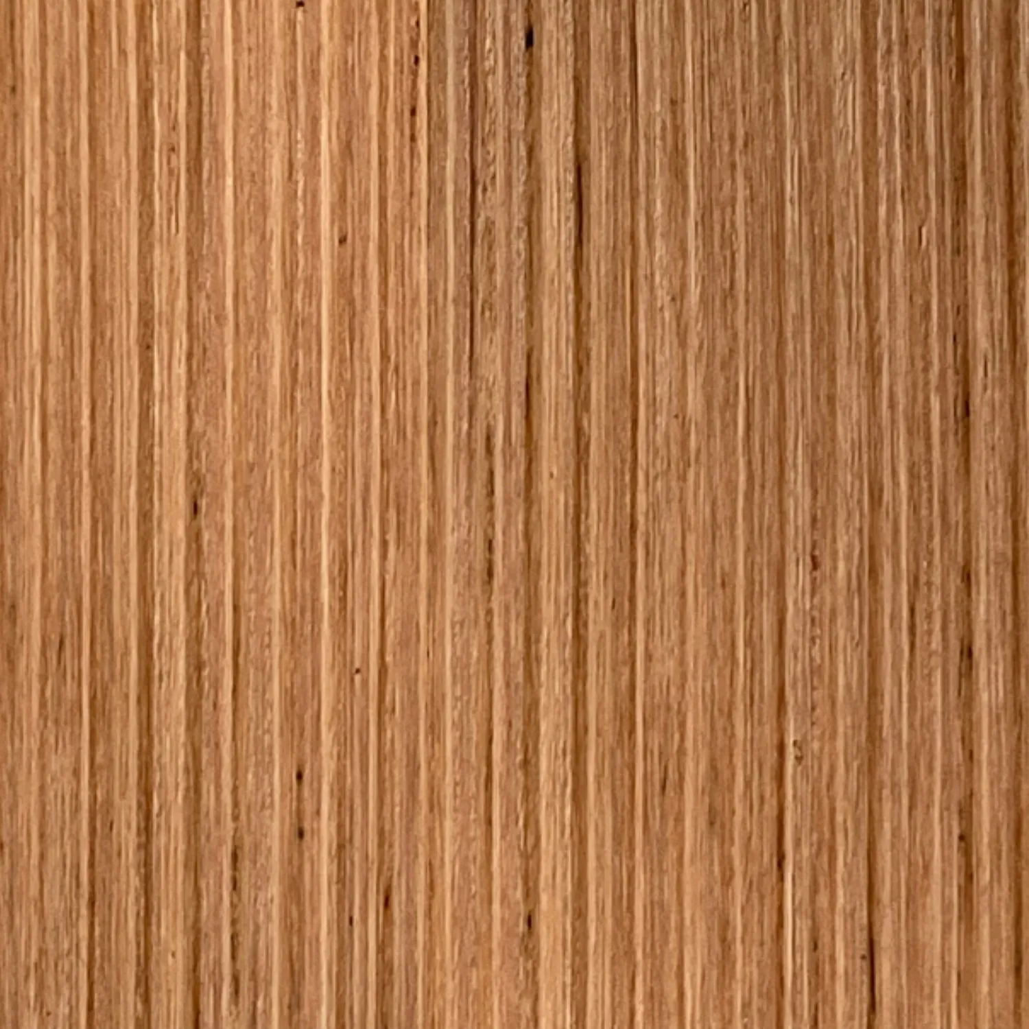 Crafted Hardwoods 91x19mm Blackbutt Internal Lining Quartersawn Forest