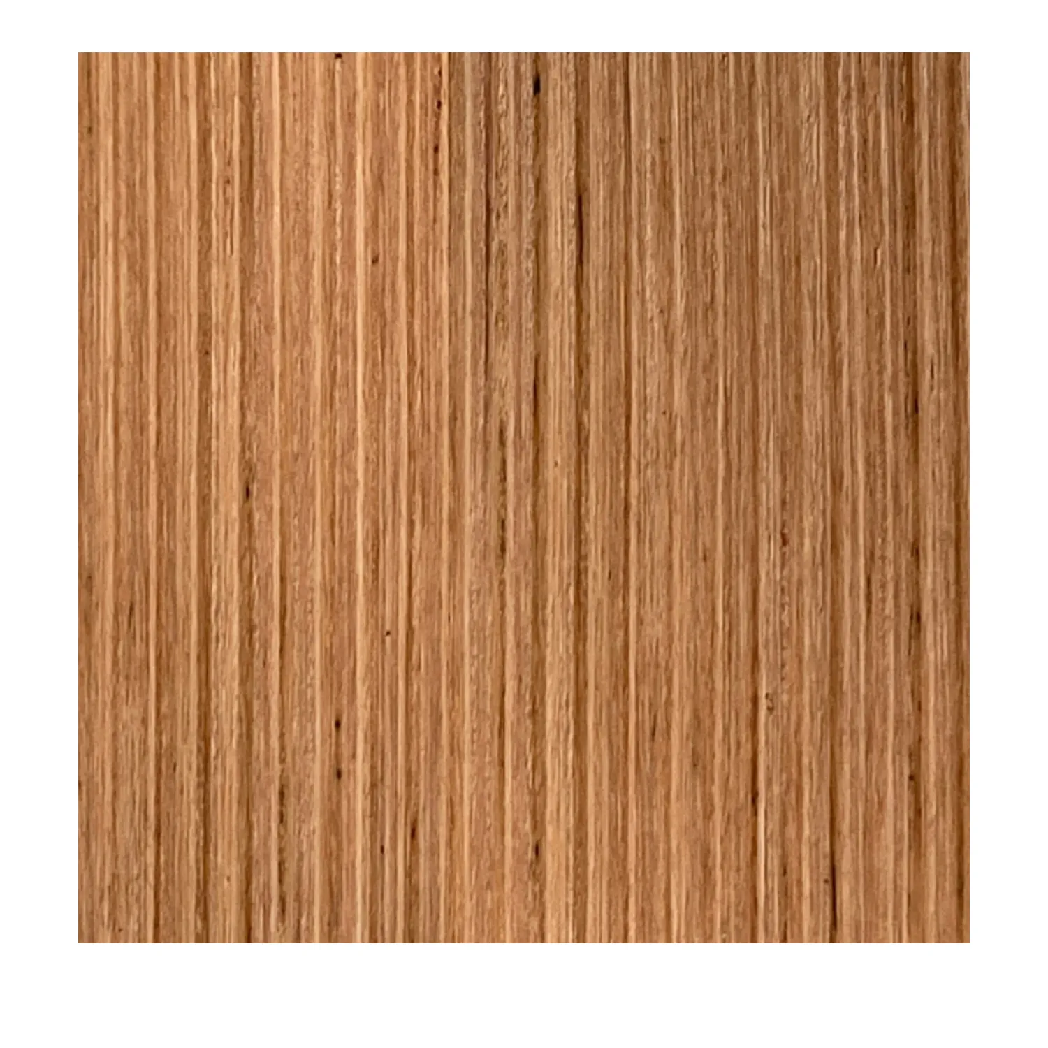 CCHSLBB09219QS_01_01_660522b0f3d07717910e2a9b388fb30d32cbd0fd_Species_BB_QS Crafted Hardwoods Blackbutt Cladding Shiplap Quartersawn