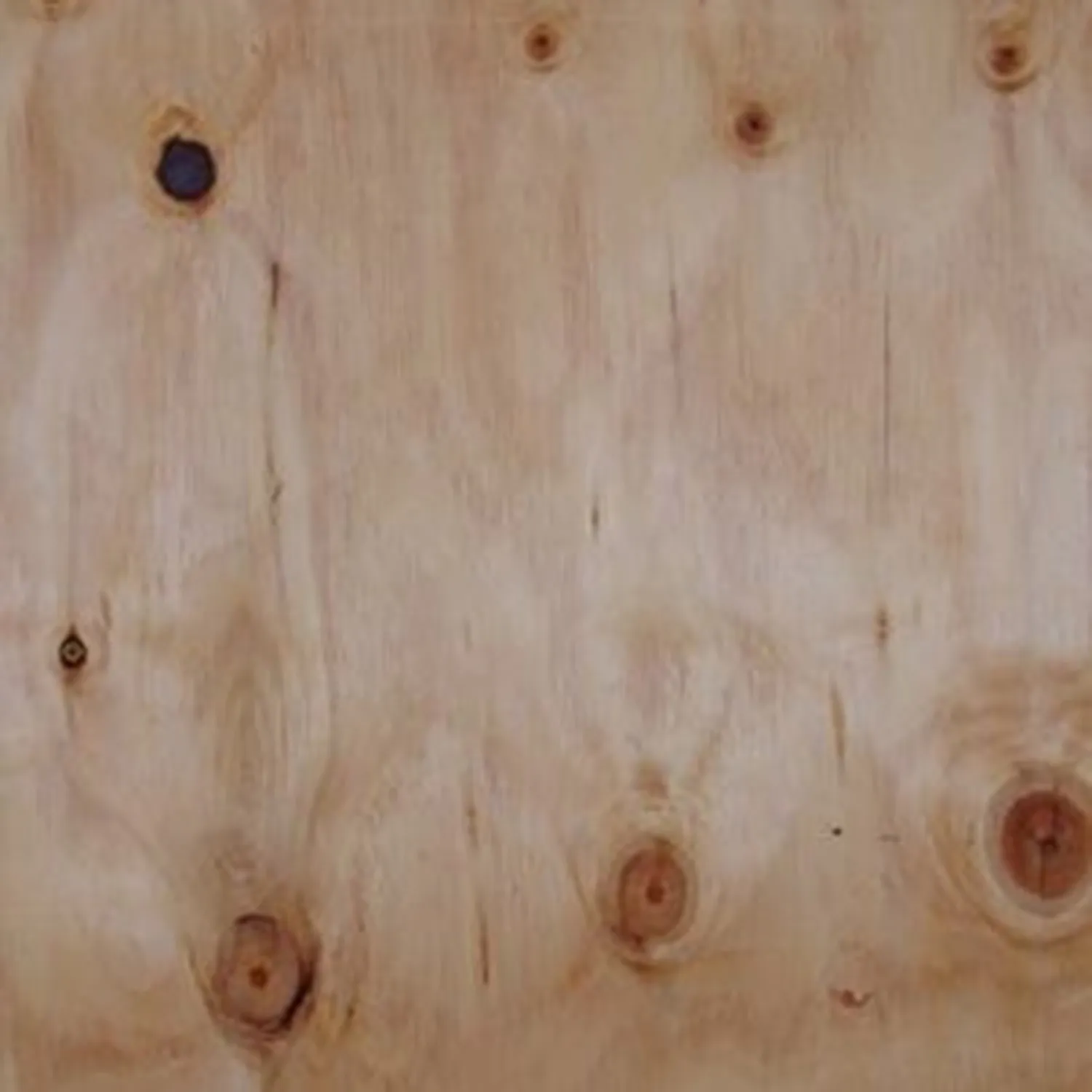 Pine Ply Bracing F8 D/D A-Bond