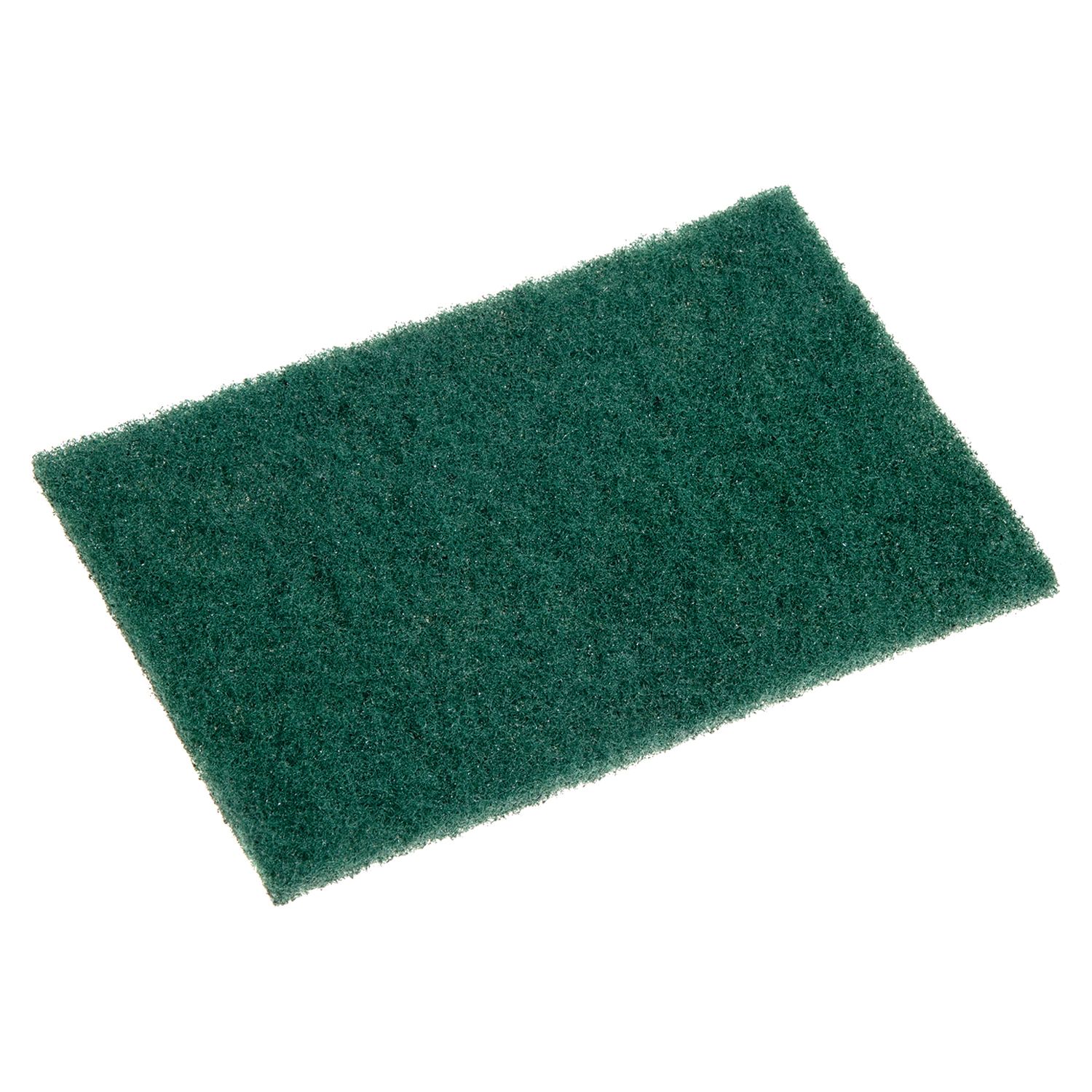 Sabco Professional Standard Grade Scourer | Bowens